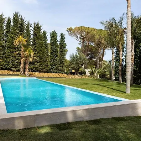 Rosa Villa Coimbra